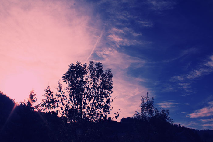 blau-pinkiger Abendhimmel mit Bäumen