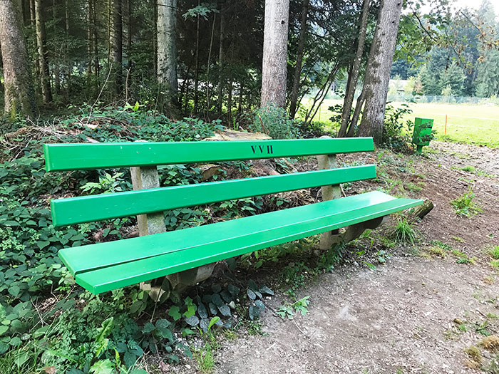 Naturfotografie mit grüner Sitzbank am Waldrand