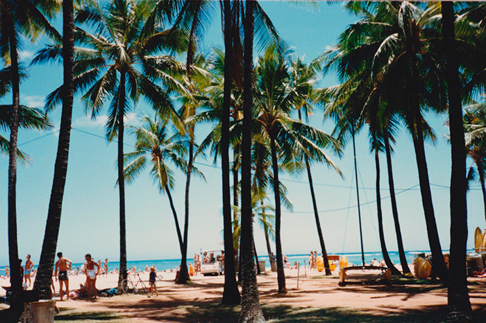 Naturfoto mit Strandleben, Meer, Palmen und Menschen in Vintage