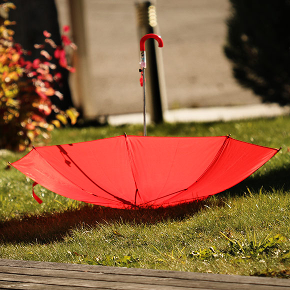 Naturfoto mit rotem Regenschirm auf Rasen