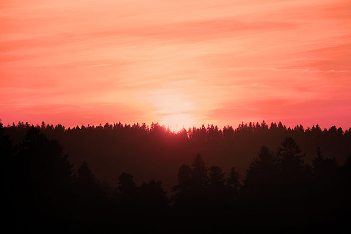 Sonnenuntergang über Wald