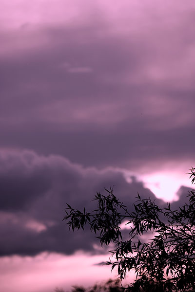Himmelwolkenbild in rosapink mit Ästen im Vordergrund