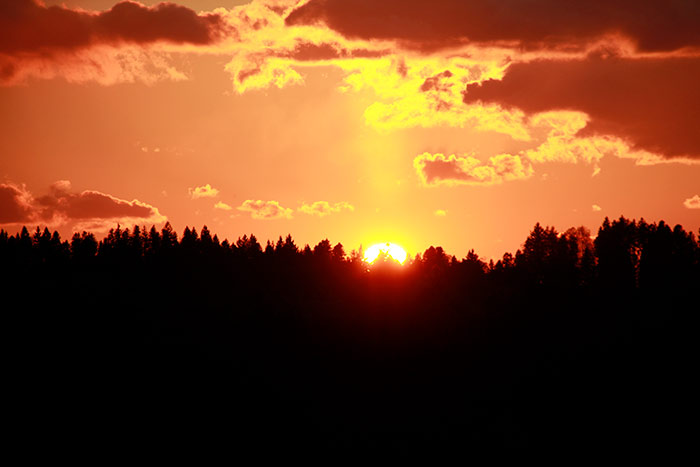 untergehende Sonne am Horizont mit Wald