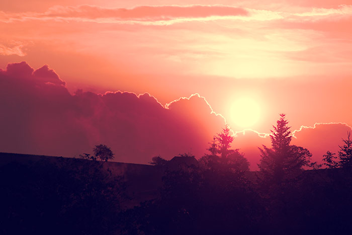 Sonnenuntergang mit roten Wolken und Bäumen