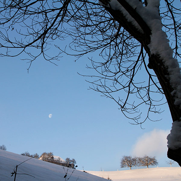 Naturfoto mit Winterlandschaft, Baum und blauem Himmel
