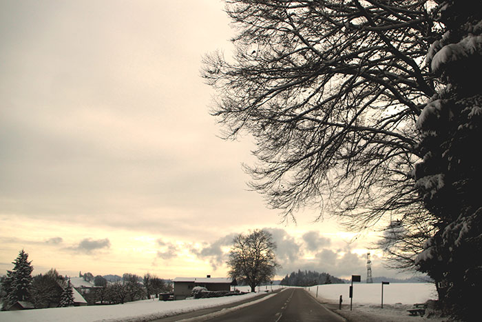 Winterlandschaft mit Strasse